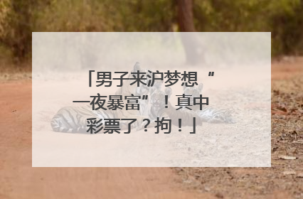 男子来沪梦想“一夜暴富”！真中彩票了？拘！