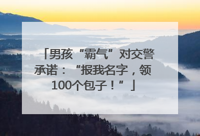 男孩“霸气”对交警承诺：“报我名字，领100个包子！”