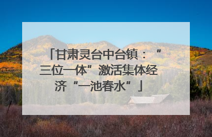 甘肃灵台中台镇：“三位一体”激活集体经济“一池春水”