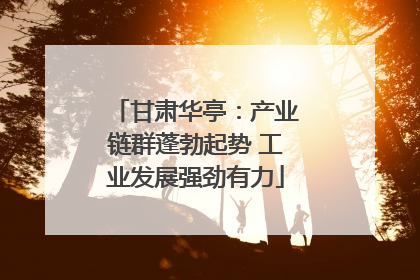 甘肃华亭：产业链群蓬勃起势 工业发展强劲有力