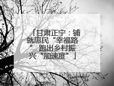 甘肃正宁：铺就惠民“幸福路” 跑出乡村振兴“加速度”