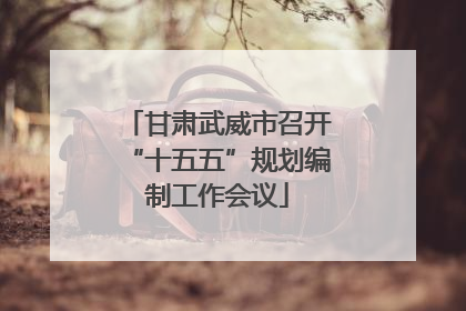 甘肃武威市召开“十五五”规划编制工作会议