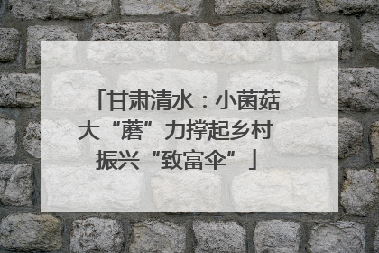 甘肃清水：小菌菇大“蘑”力撑起乡村振兴“致富伞”