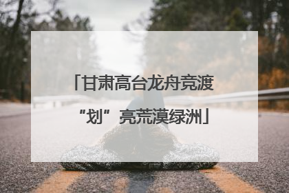 甘肃高台龙舟竞渡“划”亮荒漠绿洲