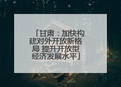 甘肃：加快构建对外开放新格局 提升开放型经济发展水平