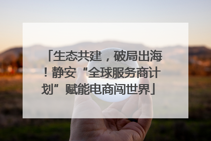 生态共建，破局出海！静安“全球服务商计划”赋能电商闯世界