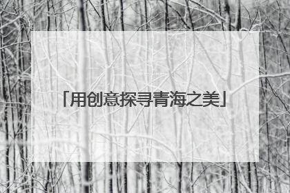 用创意探寻青海之美
