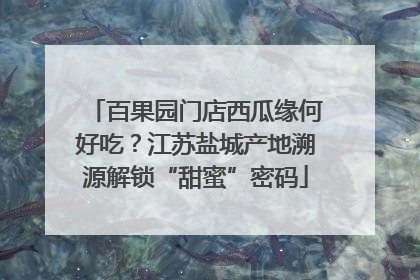 百果园门店西瓜缘何好吃？江苏盐城产地溯源解锁“甜蜜”密码