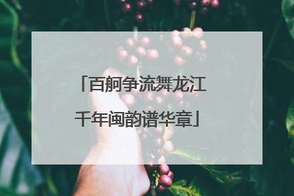 百舸争流舞龙江 千年闽韵谱华章