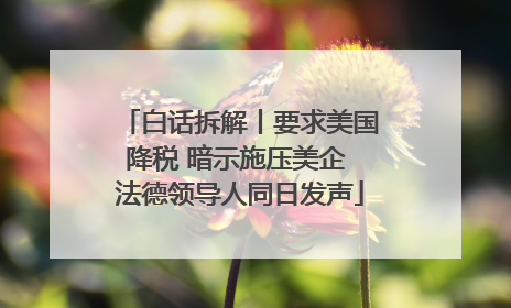 白话拆解丨要求美国降税 暗示施压美企 法德领导人同日发声