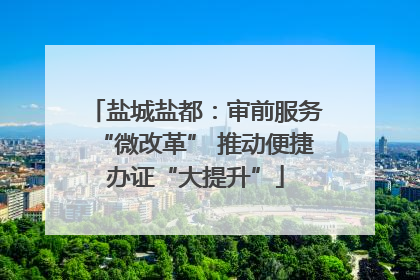 盐城盐都：审前服务“微改革” 推动便捷办证“大提升”