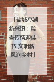 盐城亭湖新兴镇：粽香传情迎佳节 文明新风润乡村