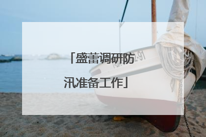 盛蕾调研防汛准备工作