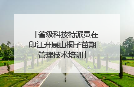 省级科技特派员在印江开展山桐子苗期管理技术培训