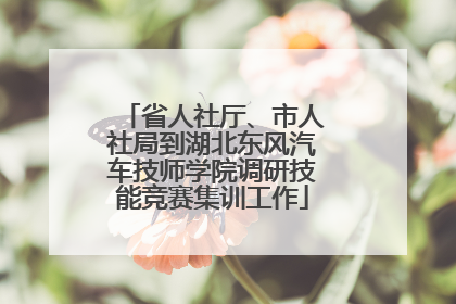 省人社厅、市人社局到湖北东风汽车技师学院调研技能竞赛集训工作
