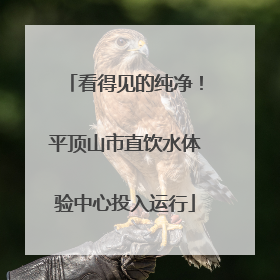 看得见的纯净！平顶山市直饮水体验中心投入运行