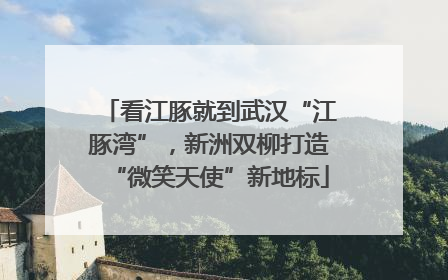 看江豚就到武汉“江豚湾”，新洲双柳打造“微笑天使”新地标