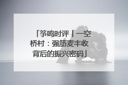 筝鸣时评丨一空桥村：强筋麦丰收背后的振兴密码