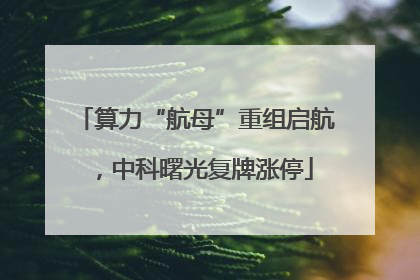 算力“航母”重组启航，中科曙光复牌涨停