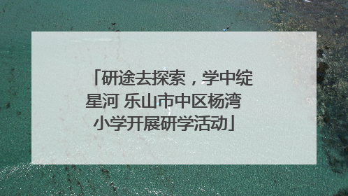 研途去探索，学中绽星河 乐山市中区杨湾小学开展研学活动