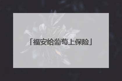 福安给葡萄上保险