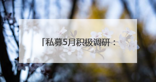 私募5月积极调研：安集科技最受青睐，半导体方向最受关注