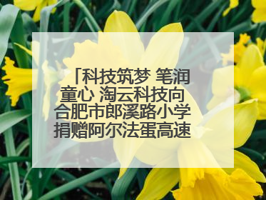 科技筑梦 笔润童心 淘云科技向合肥市郎溪路小学捐赠阿尔法蛋高速词典笔