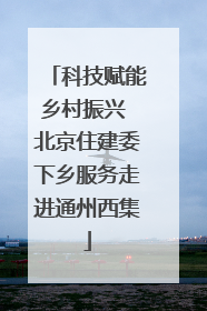 科技赋能乡村振兴 北京住建委下乡服务走进通州西集