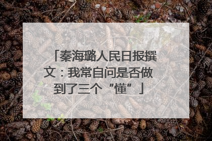 秦海璐人民日报撰文：我常自问是否做到了三个“懂”