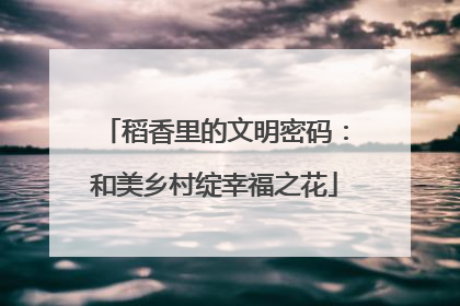 稻香里的文明密码：和美乡村绽幸福之花