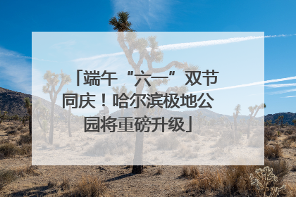 端午“六一”双节同庆！哈尔滨极地公园将重磅升级