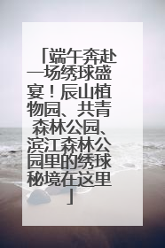 端午奔赴一场绣球盛宴！辰山植物园、共青森林公园、滨江森林公园里的绣球秘境在这里