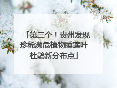 第三个！贵州发现珍稀濒危植物睡莲叶杜鹃新分布点