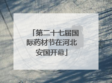 第二十七届国际药材节在河北安国开幕