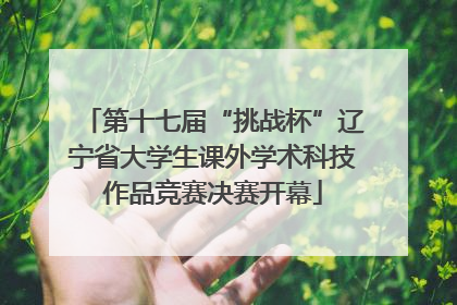 第十七届“挑战杯”辽宁省大学生课外学术科技作品竞赛决赛开幕