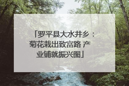 罗平县大水井乡：菊花栽出致富路 产业铺就振兴图