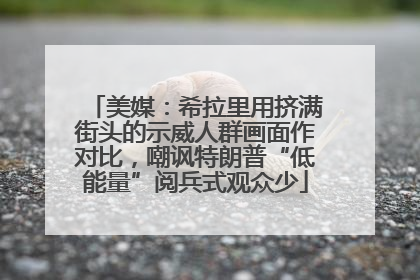 美媒：希拉里用挤满街头的示威人群画面作对比，嘲讽特朗普“低能量”阅兵式观众少