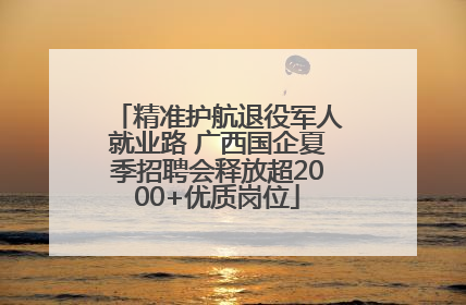 精准护航退役军人就业路 广西国企夏季招聘会释放超2000+优质岗位