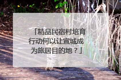 精品民宿村培育行动何以让宣城成为旅居目的地？