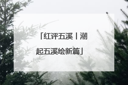 红评五溪丨潮起五溪绘新篇