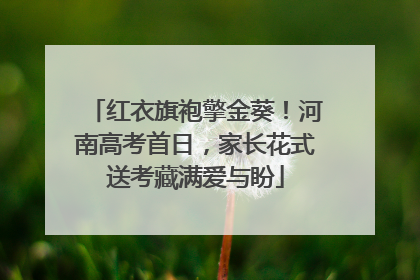 红衣旗袍擎金葵！河南高考首日，家长花式送考藏满爱与盼