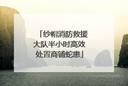 纱帽消防救援大队半小时高效处置商铺蛇患