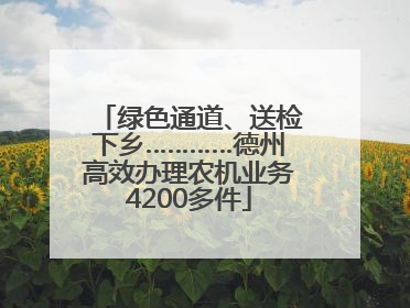 绿色通道、送检下乡…………德州高效办理农机业务4200多件
