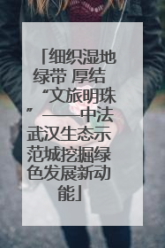 细织湿地绿带 厚结“文旅明珠”——中法武汉生态示范城挖掘绿色发展新动能