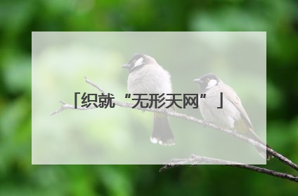 织就“无形天网”
