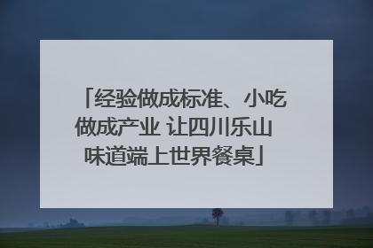 经验做成标准、小吃做成产业 让四川乐山味道端上世界餐桌