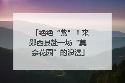 绝绝“紫”！来郧西县赴一场“莫奈花园”的浪漫
