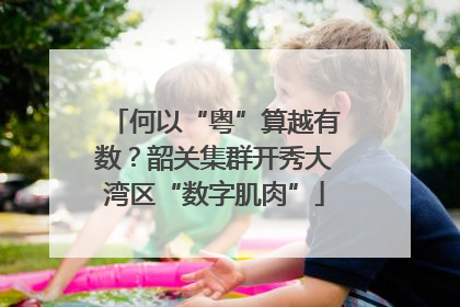 何以“粤”算越有数？韶关集群开秀大湾区“数字肌肉”