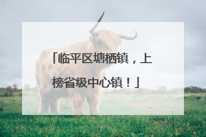 临平区塘栖镇，上榜省级中心镇！