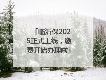 临沂保2025正式上线，缴费开始办理啦